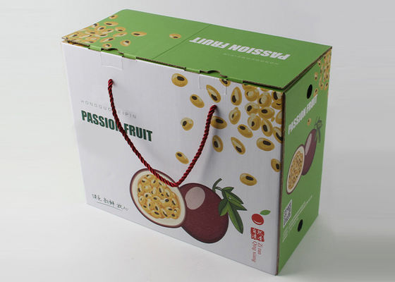 Pp-Dozen van het Handvat de Kleine Product, Douane Gedrukte Kleinhandelsdozen voor Fruit Verpakking